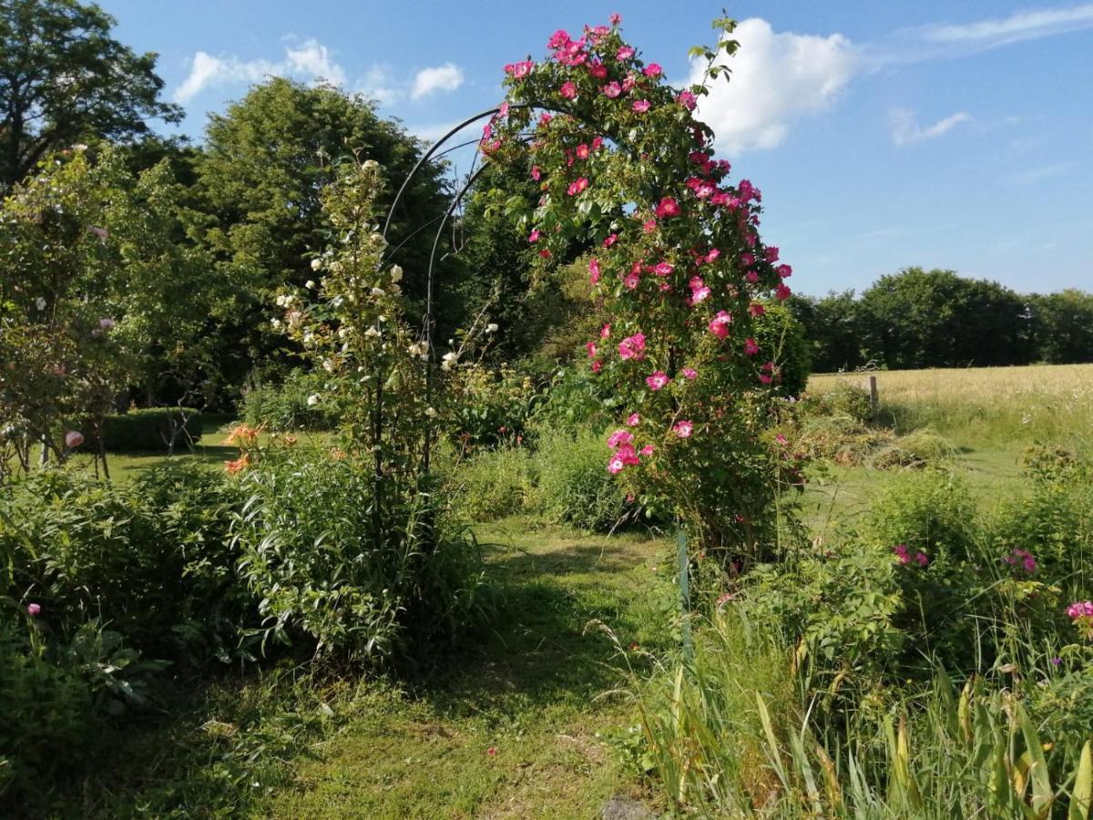 Les Berges De La Planchette Bed & Breakfast Yvignac-la-Tour Exterior photo